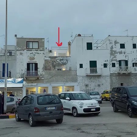 Bonitamare